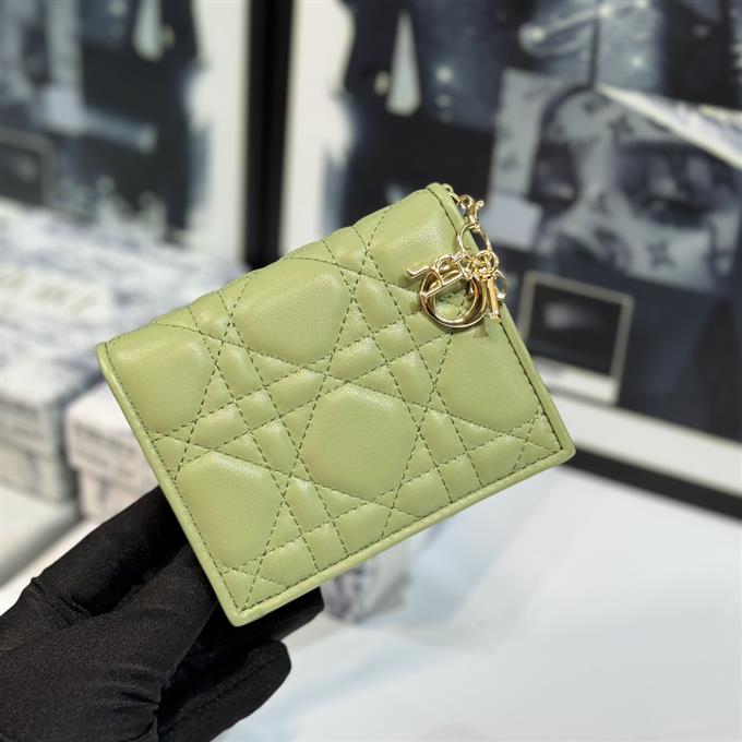 2025228Y 220P182142986